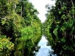 tanjung-puting_20150702_154104.jpg