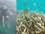 tanjung-putus-lampung-snorkeling-diving_20150525_154945.jpg