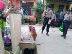 tappy-anjing-pelacak-dari-unit-k-9-kepolisian-daerah-polda-kalimantan-timur.jpg