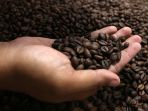 target-produksi-kopi_20210324_183048.jpg