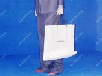 tas-balenciaga-nih2_20170630_141149.jpg