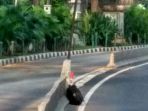 tas-mencurigakan-di-depan-kedubes-polandia_20170709_091041.jpg