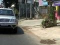 tata-xenon-11.jpg