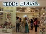 teddy-hiuse-di-palembang-icon_20171203_054830.jpg