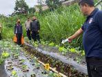 teka-teki-kematian-pria-yang-mayatnya-ditemukan-di-kebun-da.jpg
