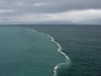 teluk-alaska_20180204_125323.jpg