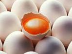 telur-ayam-kampung_20160324_082027.jpg