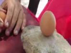 telur-berdiri-saat-ritual-peh-cun_20160609_170948.jpg