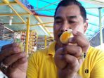 telur-diduga-berbahan-plastik-dan-karet_20171020_143149.jpg