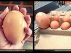 telur-raksasa_20180309_172812.jpg