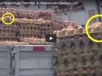 telur-telur-ini-menetas-saat-diangkut-truk_20180523_164939.jpg