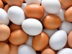 telur_20180721_163408.jpg
