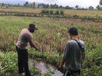 tempat-penemuan-mayat-di-saluran-air-di-muara-pinang-empat-lawang.jpg