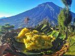 tempe-kemul-khas-dieng.jpg