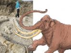 temuan-fosil-gajah-purba-raksasa-di-dusun-kuwojo_20170721_092420.jpg