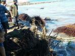 tengkorak-misterius-di-pantai-banjar-ketapang-lampu_20160525_111513.jpg