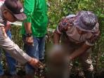 Warga Laiba Muna Digegerkan Penemuan Tengkorak di Semak-semak