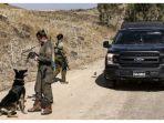 tentara-israel-menggunakan-anjing-dalam.jpg