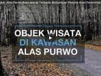 terkenal-angker-alas-purwo-banyuwangi-ternyata-menyimpan-pesona-alam-tersembunyi-ke-sini-yuk_20180214_175312.jpg