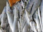 terkontaminasi-covid-19-produk-ikan-beku-asal-indonesia-dilarang-masuk-ke-china.jpg