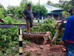 terlibat-penebangan-pohon-sono-keling-di-tulungagungjpg.jpg