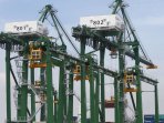 terminal-petikemas-kalibaru-resmi-beroperasi_20160913_163318.jpg