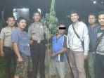 tersangka-pemilik-pohon-ganja.jpg