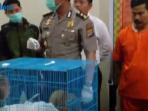 tersangka-perdagangan-satwa-dilindungi_20160229_180248.jpg