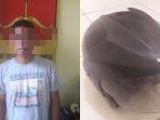 tersangka-yang-kini-sudah-diamankan-petugas-berikut-barang-bukti-helm.jpg