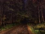 tersesat_20160523_150351.jpg