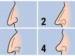 tes-kepribadian-bentuk-hidung.jpg