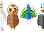 tes-kepribadian-burung.jpg