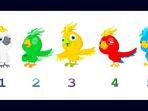 tes-kepribadian-memilih-burung.jpg