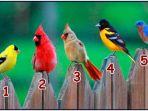 tes-kepribadian-mengungkap-sifat-dominan-karakter-dengan-cara-memilih-satu-gambar-burung.jpg