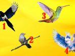 tes-kepribadian-setiap-gambar-burung-memiliki-rahasianya-pilih-satu-dan-temukan-kepribadianmu.jpg