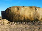 the-big-idaho-potato-hotel.jpg