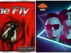 the-fly2.jpg