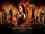 the-hunger-games-catching-fire.jpg