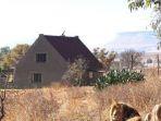 the-lion-house-di-afrika.jpg