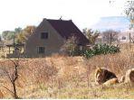 the-lion-house-penginapan-yang-menawarkan-tidur-di-dekat-77-ekor-singa-liar-di-afrika-selatan.jpg