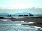 ti-apung_20160313_194250.jpg