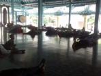 tidur-di-masjid-agung-surakarta_20160608_155947.jpg
