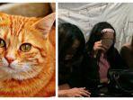 tiga-wanita-cekoki-kucing-miras-di-padang.jpg