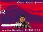 tiiwg-g20.jpg