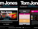 tiket-konser-tom-jones-di-jakarta-2024.jpg