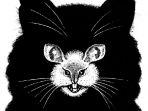 tikus-atau-kucing.jpg