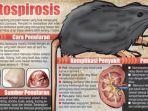 Kenali Gejala Leptospirosis, Ketahui Faktor Penyebab dan Proses Penularannya