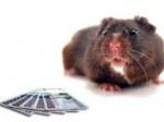 tikus-koruptor.jpg