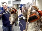 tikus_20160312_152222.jpg