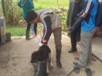 tim-berikan-vaksin-rabies_20160809_072229.jpg